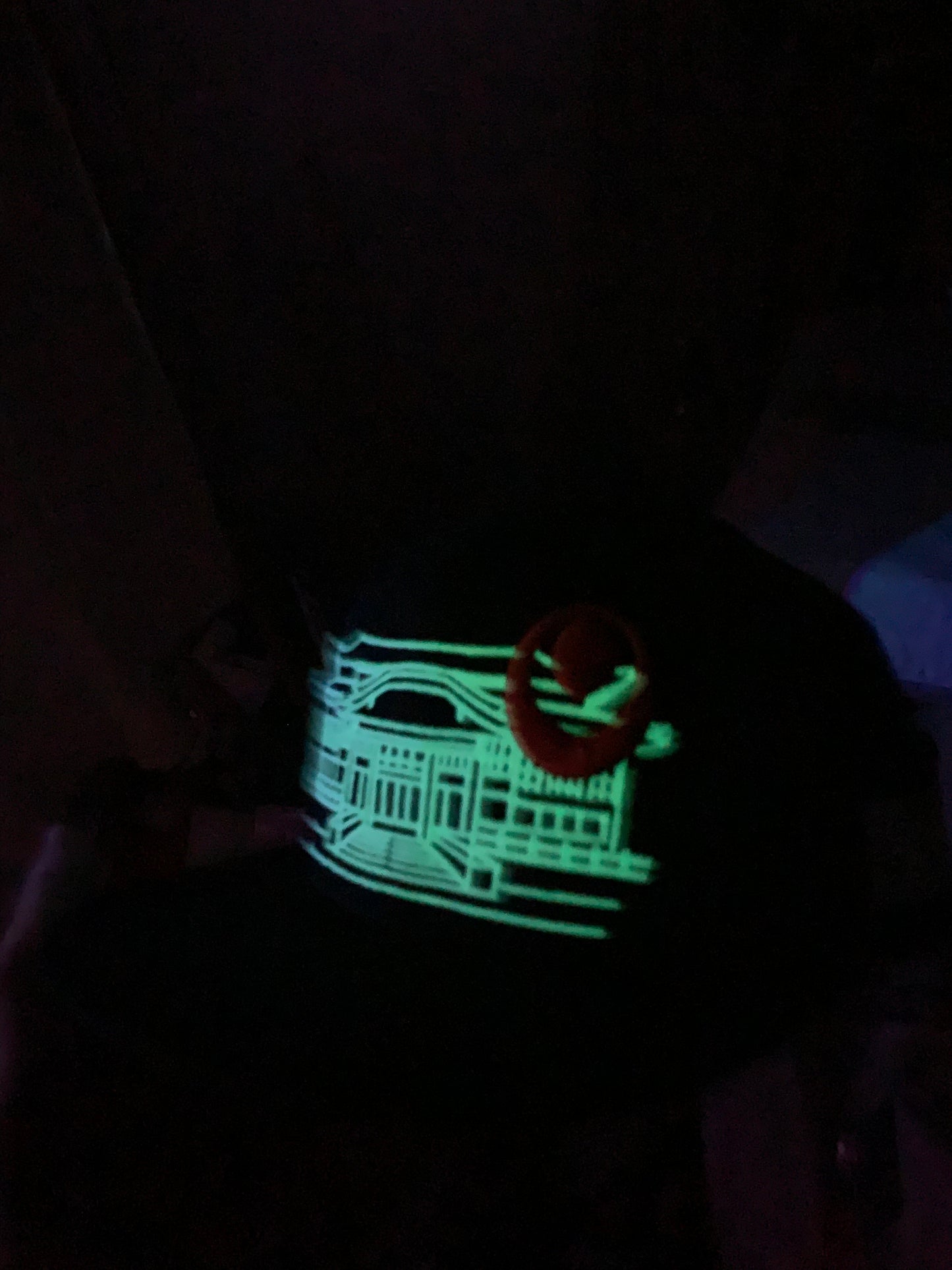 Shuri Castle GLOW in DARK! Okinawa Japan 沖縄 Ryukyu Island Snapback