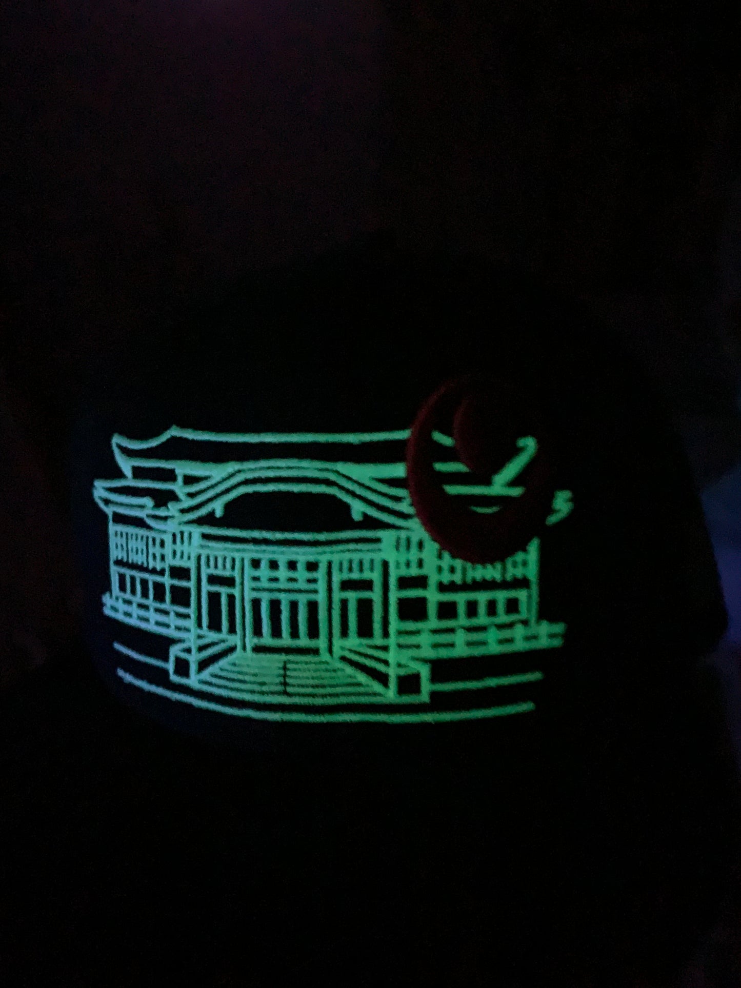 Shuri Castle GLOW in DARK! Okinawa Japan 沖縄 Ryukyu Island Snapback