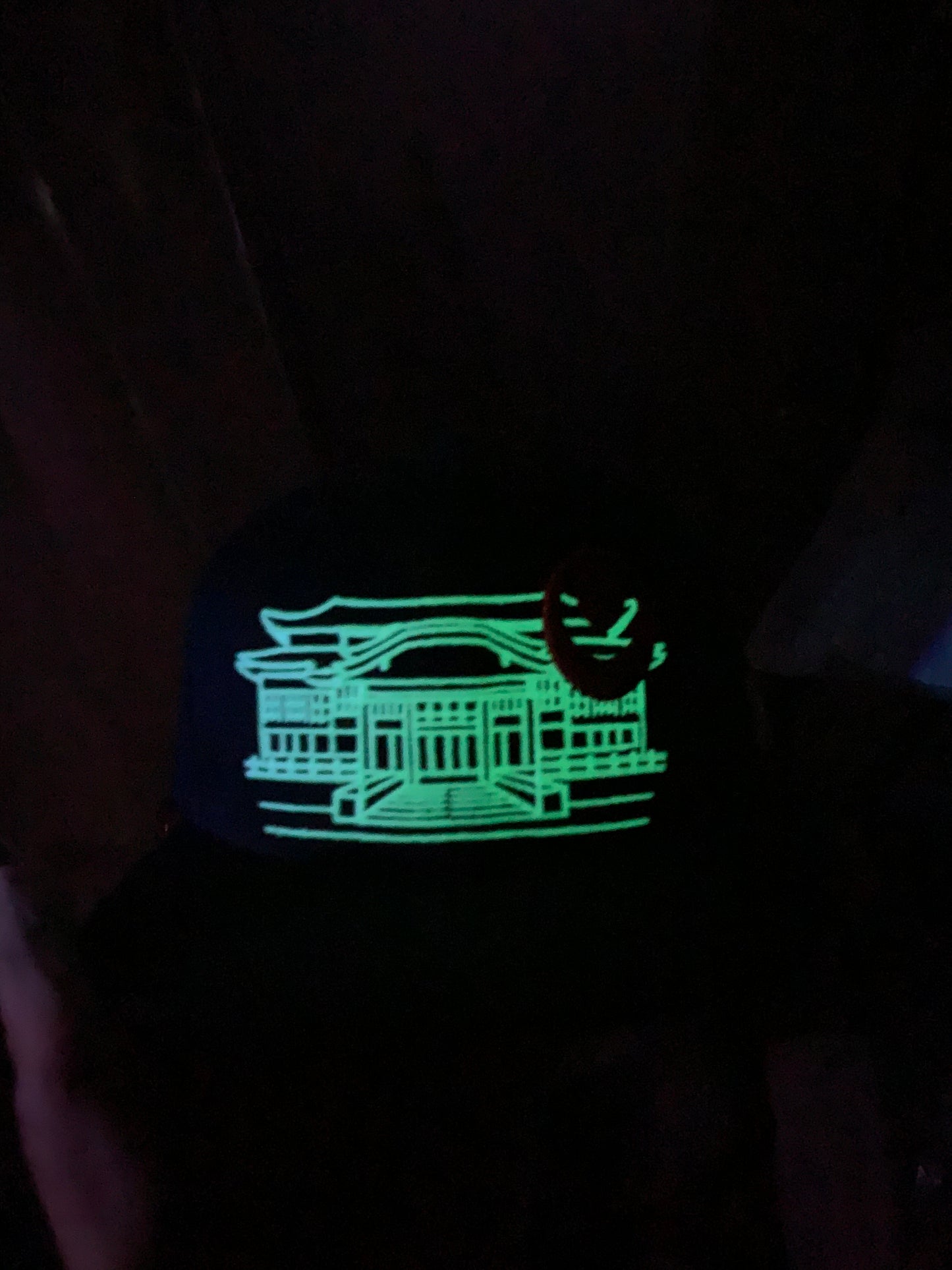 Shuri Castle GLOW in DARK! Okinawa Japan  沖縄 Ryukyu Island  Snapback