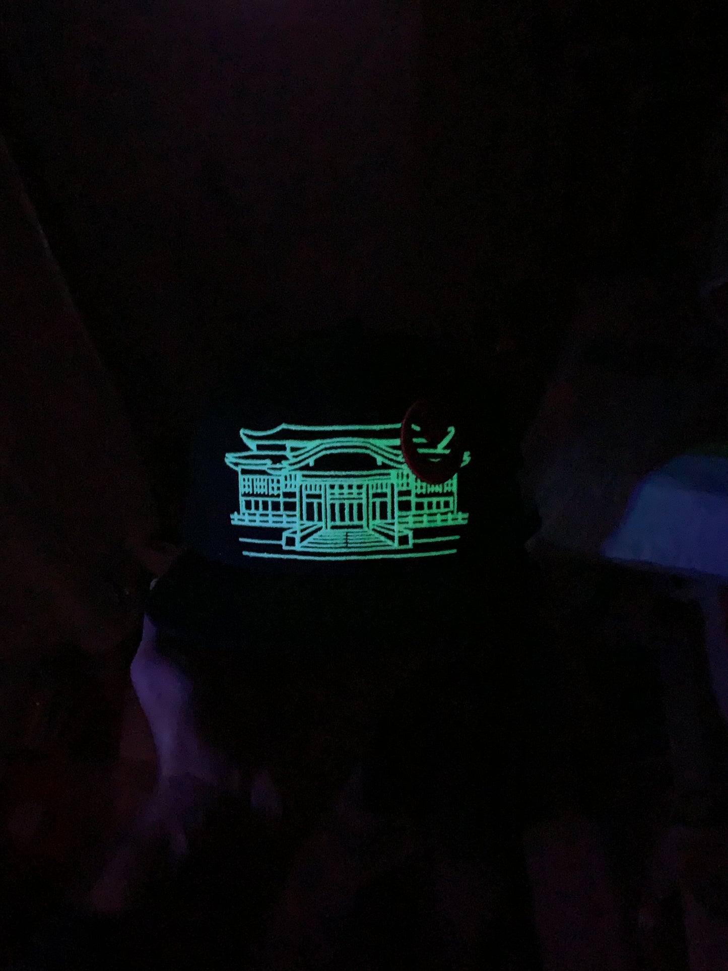 Shuri Castle GLOW in DARK! Okinawa Japan  沖縄 Ryukyu Island  Snapback