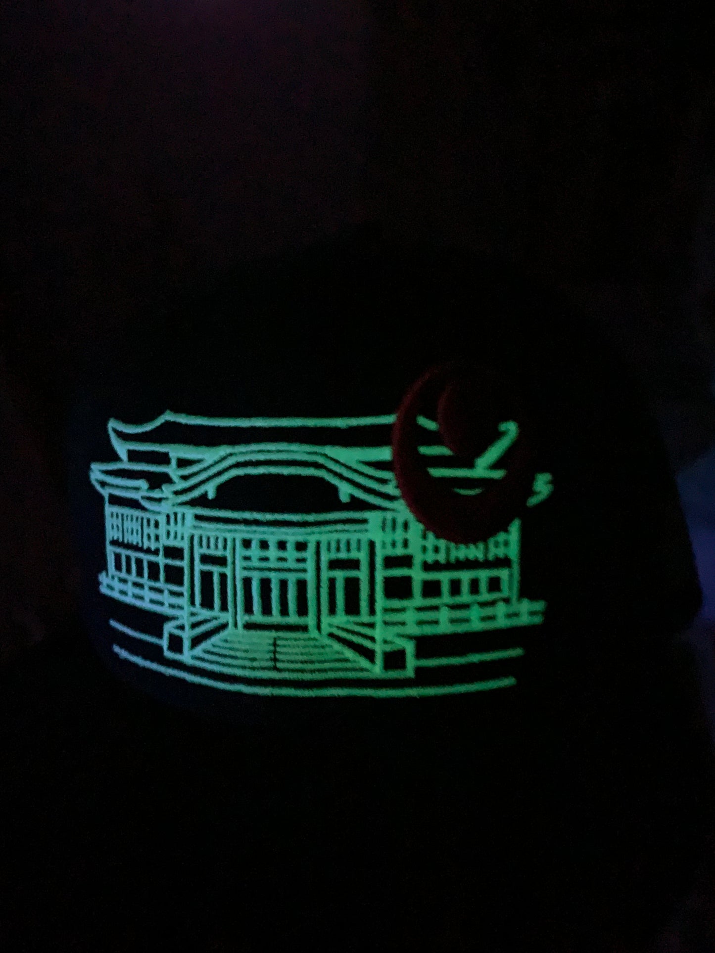 Shuri Castle GLOW in DARK! Okinawa Japan  沖縄 Ryukyu Island  Snapback